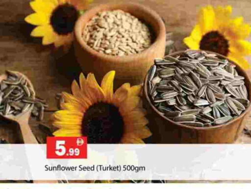 available at جلف هايبرماركت ذ.م.م in الإمارات العربية المتحدة , الامارات - رَأْس ٱلْخَيْمَة