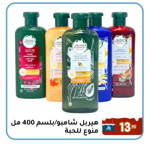 Avocado available at Family Discount in KSA, Saudi Arabia, Saudi - Dammam