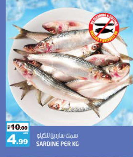 available at هاشم هايبرماركت in الإمارات العربية المتحدة , الامارات - الشارقة / عجمان