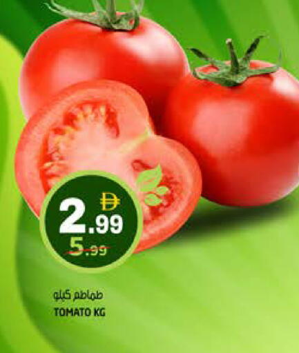 Tomato available at هاشم هايبرماركت in الإمارات العربية المتحدة , الامارات - الشارقة / عجمان