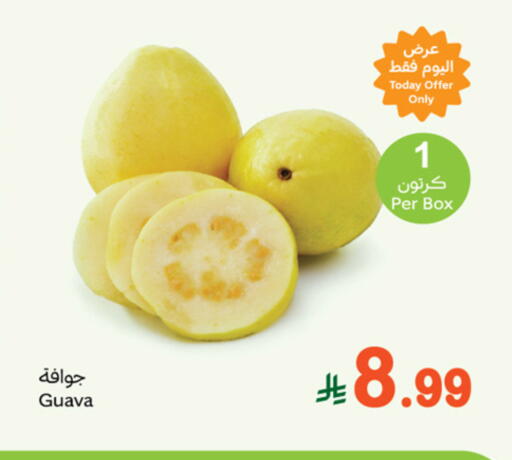 Guava available at أسواق عبد الله العثيم in مملكة العربية السعودية, السعودية, سعودية - حائل‎