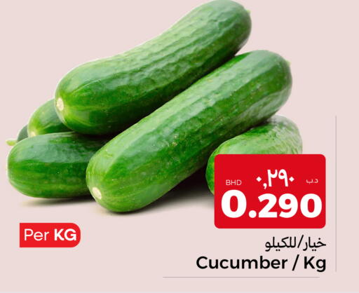 Cucumber available at نستو in البحرين
