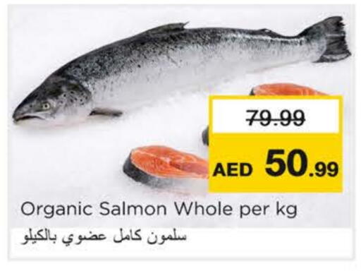 available at نستو هايبرماركت in الإمارات العربية المتحدة , الامارات - رَأْس ٱلْخَيْمَة