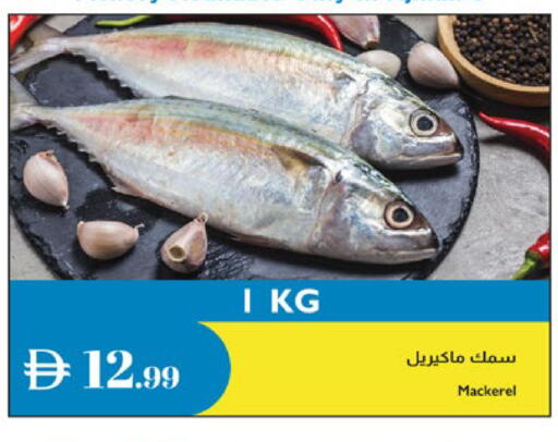 available at إسطنبول سوبرماركت in الإمارات العربية المتحدة , الامارات - الشارقة / عجمان