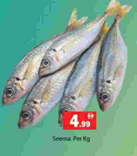 available at جلف هايبرماركت ذ.م.م in الإمارات العربية المتحدة , الامارات - رَأْس ٱلْخَيْمَة