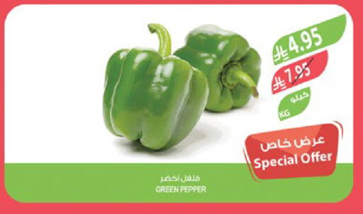Pepper available at المزرعة in مملكة العربية السعودية, السعودية, سعودية - القطيف‎