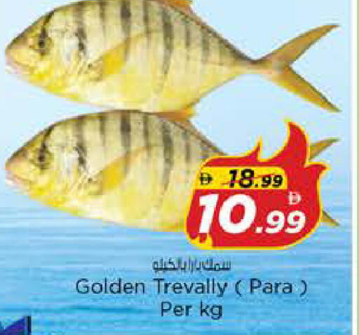 available at نستو هايبرماركت in الإمارات العربية المتحدة , الامارات - الشارقة / عجمان