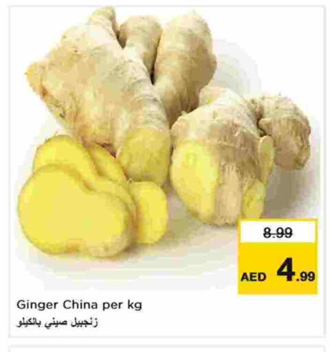 Ginger from China available at نستو هايبرماركت in الإمارات العربية المتحدة , الامارات - الشارقة / عجمان