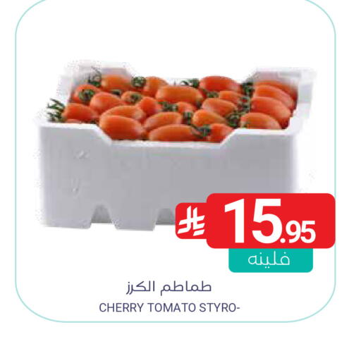 Cherry Cherry tomato available at اسواق المنتزه in مملكة العربية السعودية, السعودية, سعودية - المنطقة الشرقية