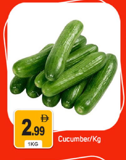 Cucumber available at سوق طلال in الإمارات العربية المتحدة , الامارات - دبي