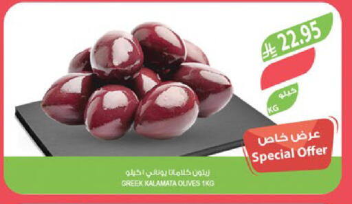 available at Farm  in KSA, Saudi Arabia, Saudi - Khafji