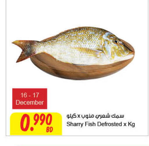 available at مركز سلطان in البحرين