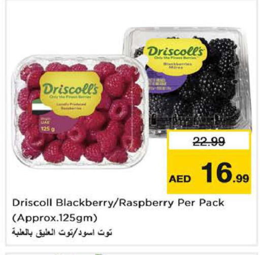 Blackberry Raspberry available at Nesto Hypermarket in UAE - Dubai