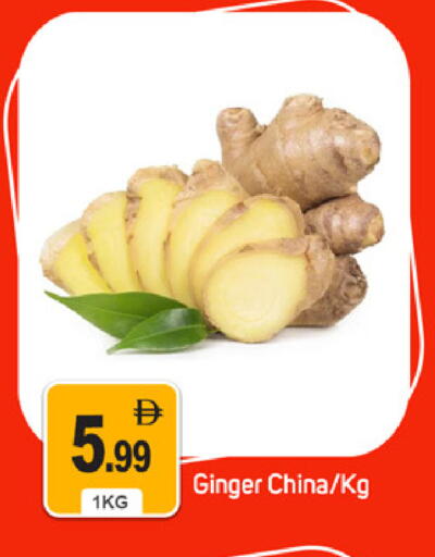 Ginger from China available at سوق طلال in الإمارات العربية المتحدة , الامارات - دبي