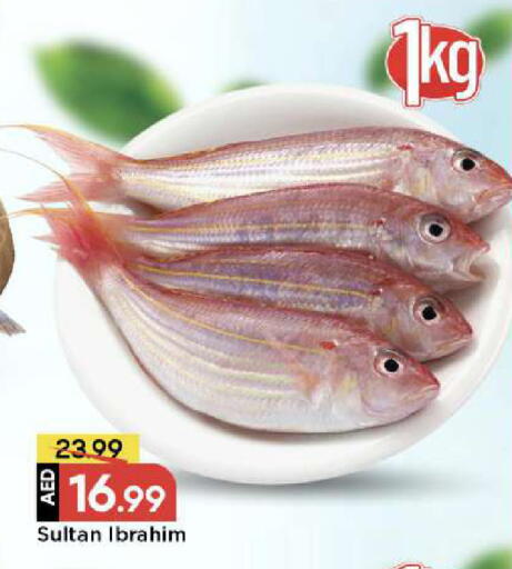 available at مارك & سيف in الإمارات العربية المتحدة , الامارات - دبي