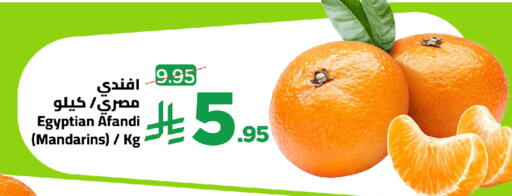 from Egypt available at Wahj Mart in KSA, Saudi Arabia, Saudi - Jeddah