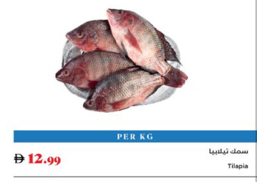 available at تروليز سوبرماركت in الإمارات العربية المتحدة , الامارات - الشارقة / عجمان