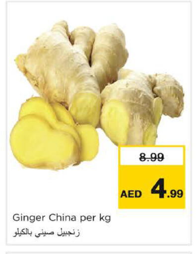 Ginger from China available at نستو هايبرماركت in الإمارات العربية المتحدة , الامارات - الشارقة / عجمان