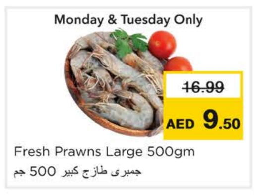 available at نستو هايبرماركت in الإمارات العربية المتحدة , الامارات - رَأْس ٱلْخَيْمَة