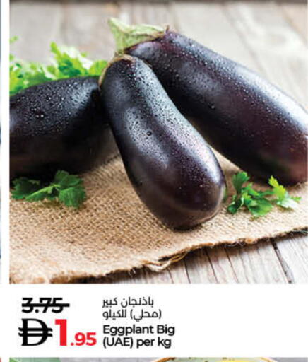 Eggplant available at لولو هايبرماركت in الإمارات العربية المتحدة , الامارات - رَأْس ٱلْخَيْمَة