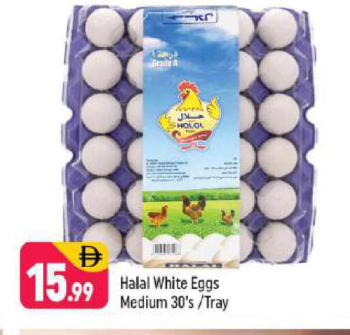 available at شكلان ماركت in الإمارات العربية المتحدة , الامارات - دبي