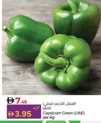 Capsicum available at لولو هايبرماركت in الإمارات العربية المتحدة , الامارات - ٱلْعَيْن‎
