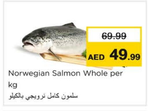 available at نستو هايبرماركت in الإمارات العربية المتحدة , الامارات - رَأْس ٱلْخَيْمَة