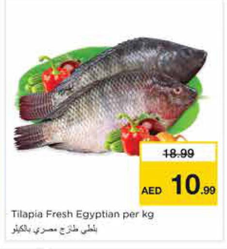 available at نستو هايبرماركت in الإمارات العربية المتحدة , الامارات - الشارقة / عجمان