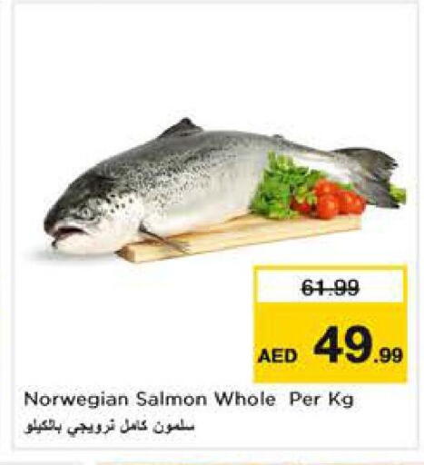 available at نستو هايبرماركت in الإمارات العربية المتحدة , الامارات - دبي