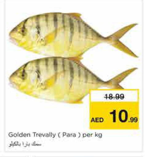 available at نستو هايبرماركت in الإمارات العربية المتحدة , الامارات - الشارقة / عجمان