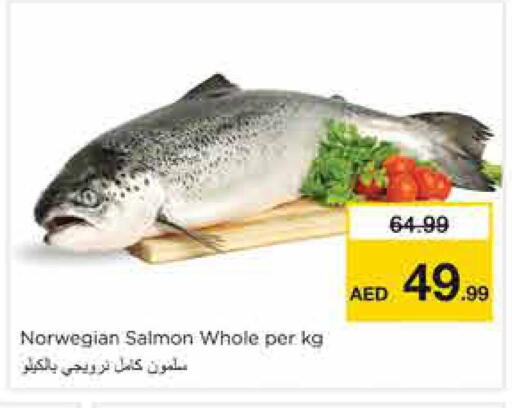 available at Nesto Hypermarket in UAE - Sharjah / Ajman