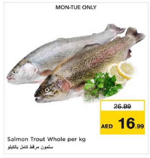 available at Nesto Hypermarket in UAE - Dubai