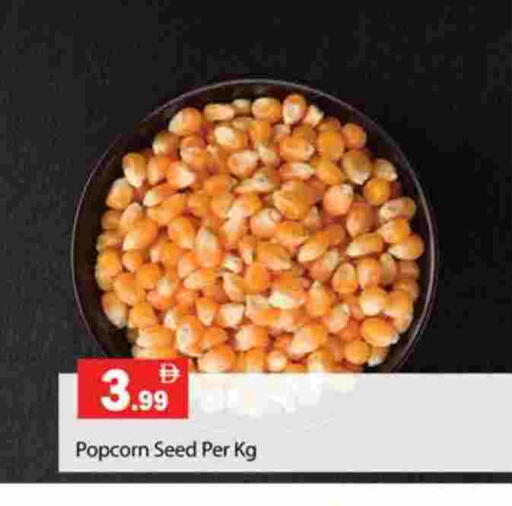 available at جلف هايبرماركت ذ.م.م in الإمارات العربية المتحدة , الامارات - رَأْس ٱلْخَيْمَة