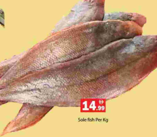 available at جلف هايبرماركت ذ.م.م in الإمارات العربية المتحدة , الامارات - رَأْس ٱلْخَيْمَة