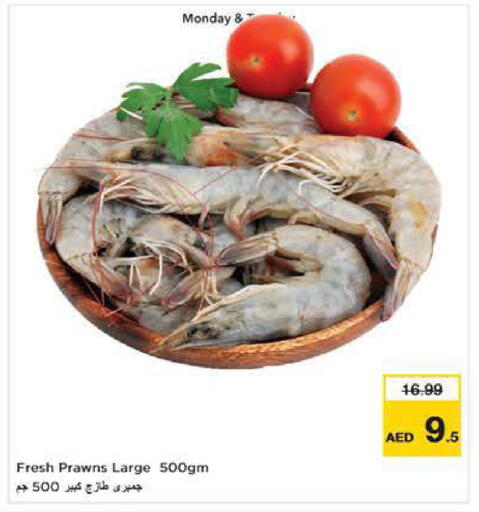 available at نستو هايبرماركت in الإمارات العربية المتحدة , الامارات - ٱلْفُجَيْرَة‎