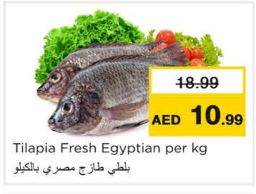 available at نستو هايبرماركت in الإمارات العربية المتحدة , الامارات - رَأْس ٱلْخَيْمَة