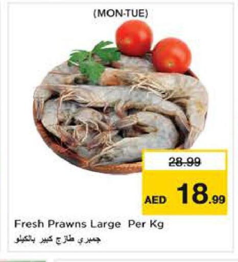 available at نستو هايبرماركت in الإمارات العربية المتحدة , الامارات - دبي