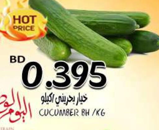 Cucumber available at مجموعة حسن محمود in البحرين