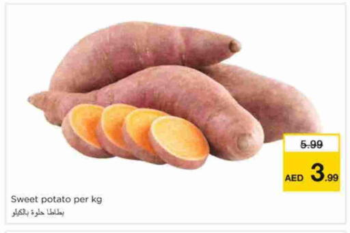Sweet Potato available at نستو هايبرماركت in الإمارات العربية المتحدة , الامارات - الشارقة / عجمان
