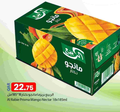 Mango available at دانا ماركت in قطر - الخور