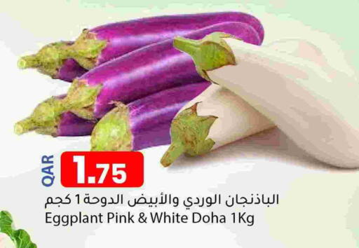 Eggplant from Qatar available at Dana Market in Qatar - Al Daayen