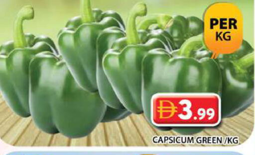 Capsicum available at جراند هايبر ماركت in الإمارات العربية المتحدة , الامارات - الشارقة / عجمان