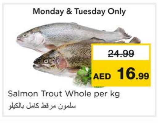 available at نستو هايبرماركت in الإمارات العربية المتحدة , الامارات - رَأْس ٱلْخَيْمَة