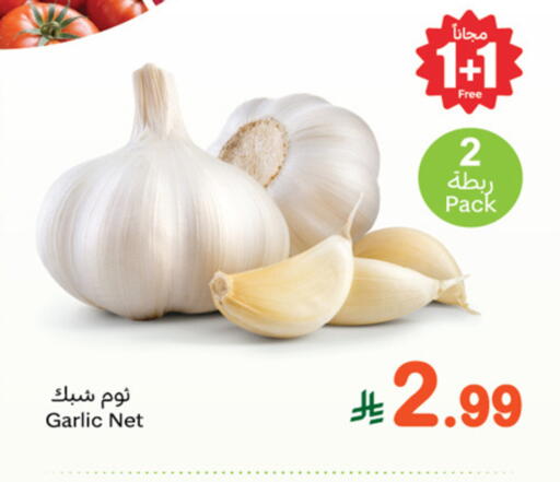 Garlic available at Othaim Markets in KSA, Saudi Arabia, Saudi - Mahayil