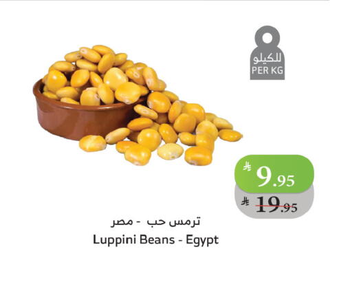 available at Al Raya in KSA, Saudi Arabia, Saudi - Al Qunfudhah