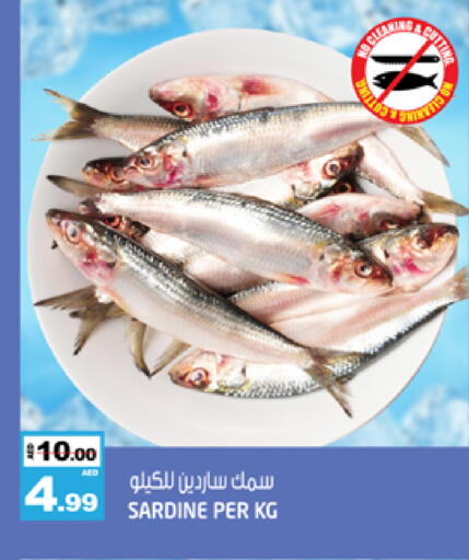 available at هاشم هايبرماركت in الإمارات العربية المتحدة , الامارات - الشارقة / عجمان