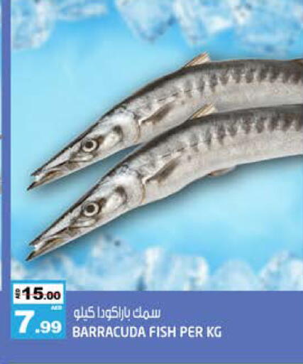 available at هاشم هايبرماركت in الإمارات العربية المتحدة , الامارات - الشارقة / عجمان