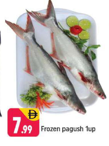 available at Shaklan  in UAE - Dubai