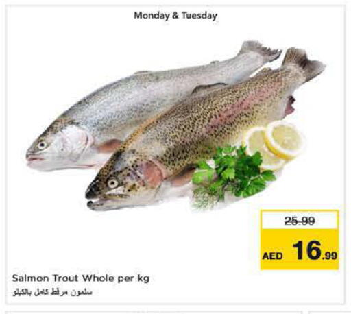 available at نستو هايبرماركت in الإمارات العربية المتحدة , الامارات - ٱلْفُجَيْرَة‎