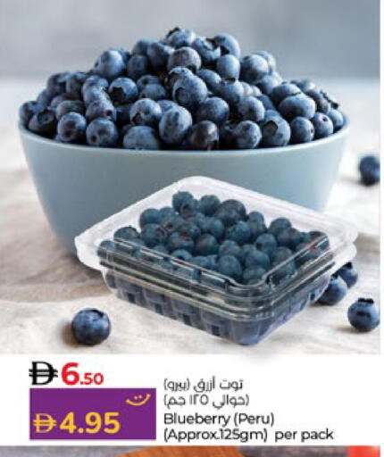 Blueberry BlueBerry available at لولو هايبرماركت in الإمارات العربية المتحدة , الامارات - ٱلْعَيْن‎